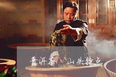 普洱茶 山头特点/2023041124059